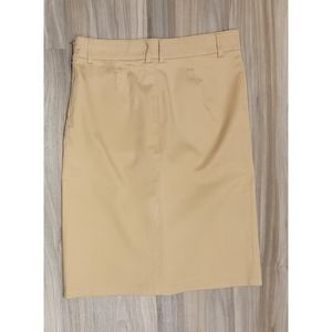 Zara Basics Skirt Business Career